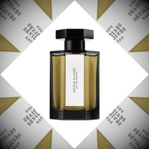 Best Perfumes Of The Decade 2010-2019 part 1 - Persolaise