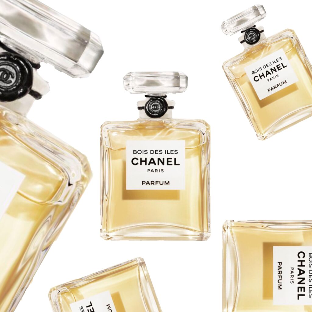 Top 10 Best Chanel Perfumes - Persolaise